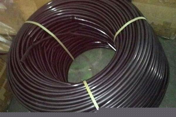 黑管_黑管是什么樂器